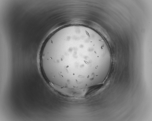 X0000101471133200807281014