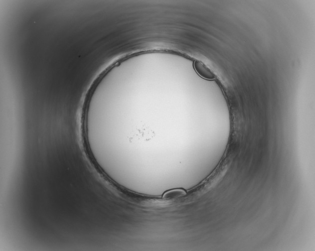 X0000101471134200807281014