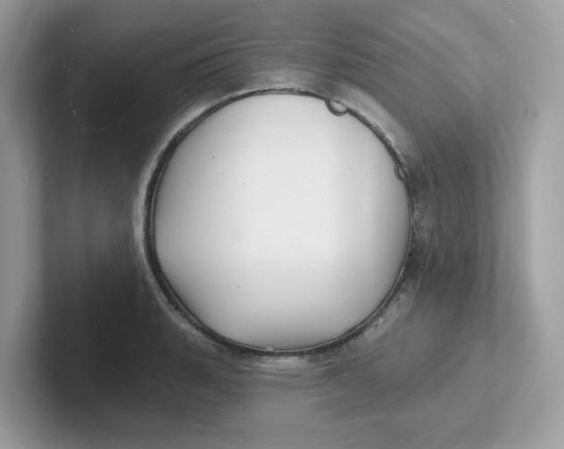 X0000101471135200807281014