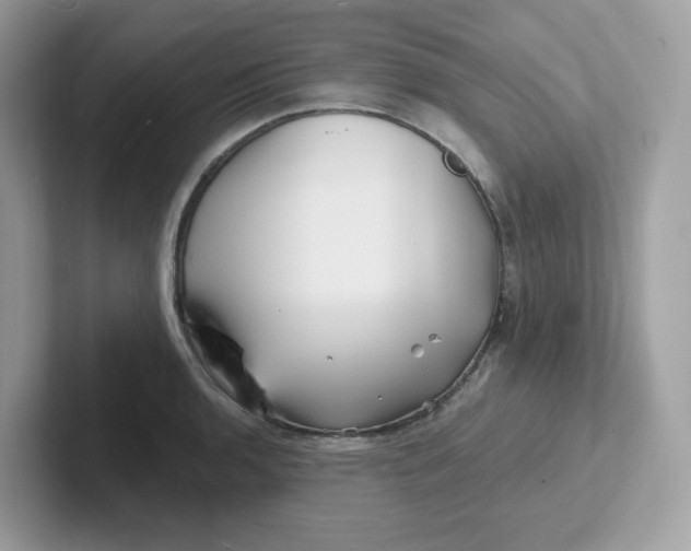 X0000101471136200807281014