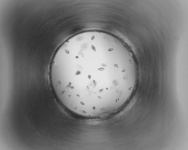 X0000101471137200807281014