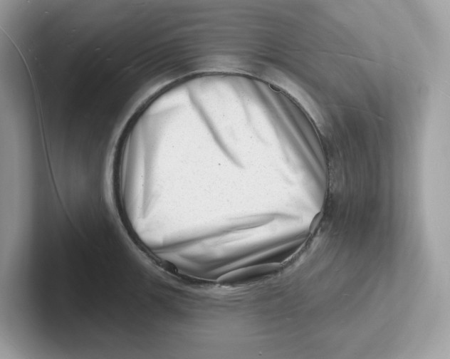 X0000101471139200807281014