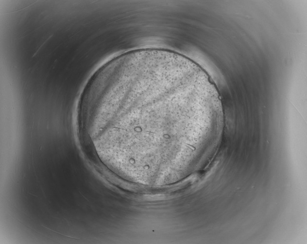 X0000101471142200807281014