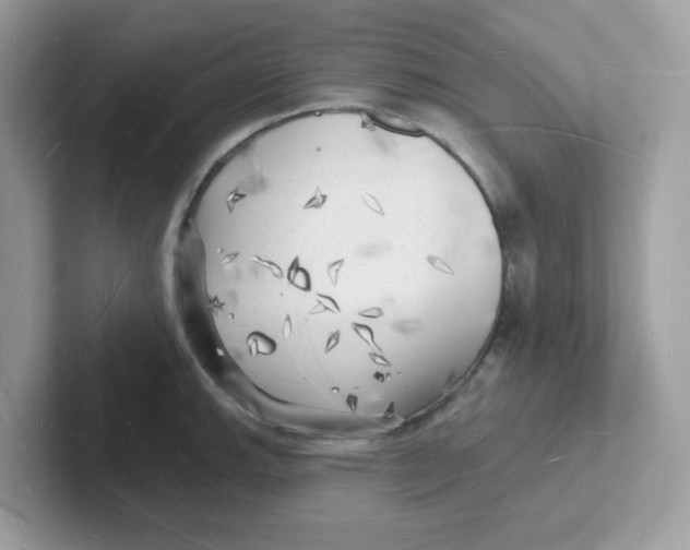 X0000101471143200807281014