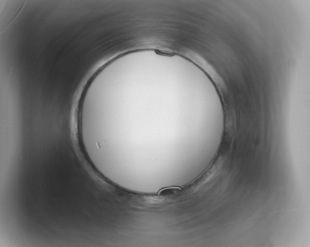 X0000101471144200807281014