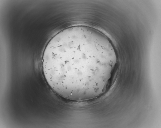 X0000101471145200807281014