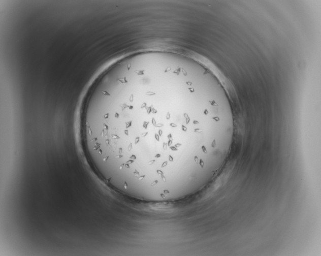 X0000101471147200807281014