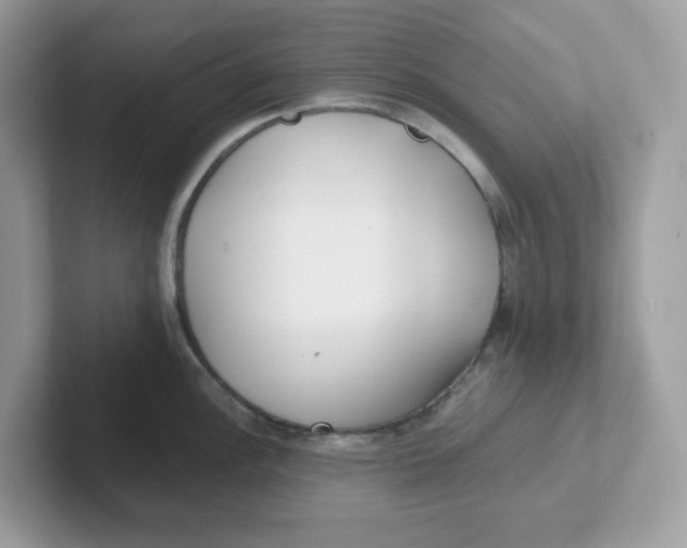 X0000101471148200807281014