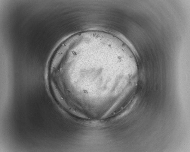 X0000101471149200807281014