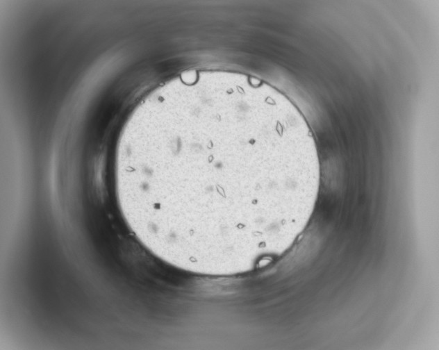 X0000101471150200807281014