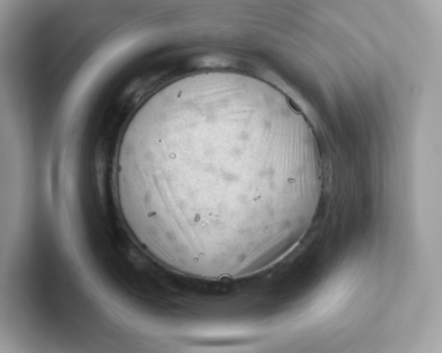 X0000101471151200807281014