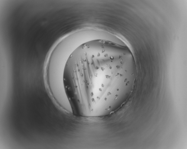 X0000101471152200807281014