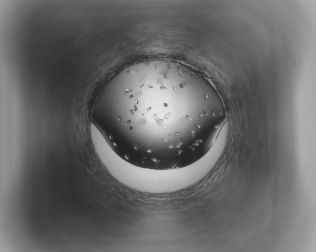 X0000101471157200807281014