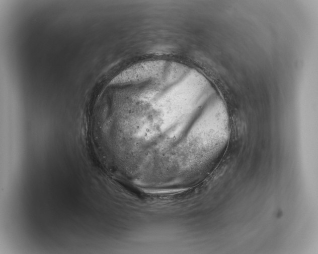 X0000101471158200807281014