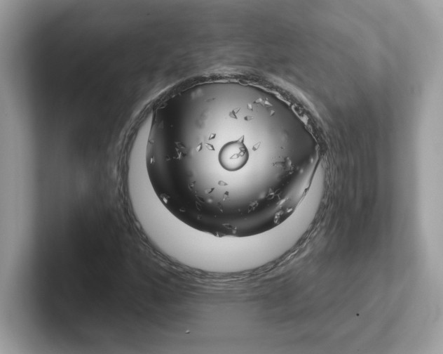 X0000101471160200807281013