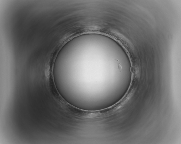 X0000101471161200807281013