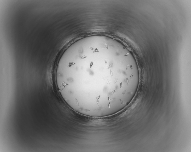 X0000101471162200807281013