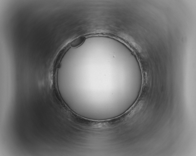 X0000101471165200807281013