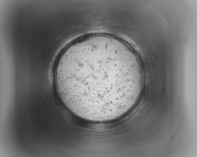 X0000101471167200807281013