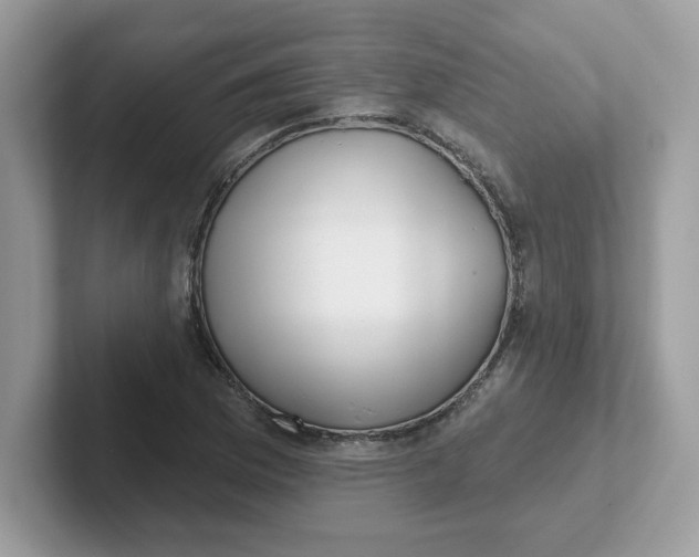 X0000101471169200807281013