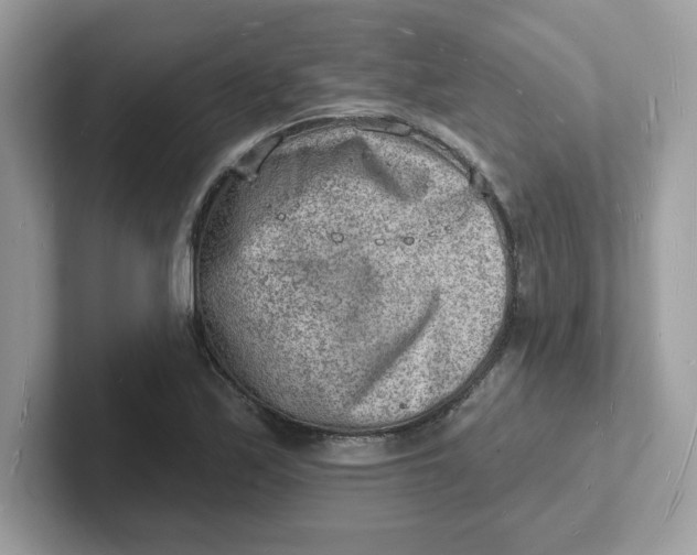 X0000101471171200807281013