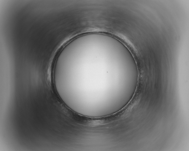 X0000101471173200807281013