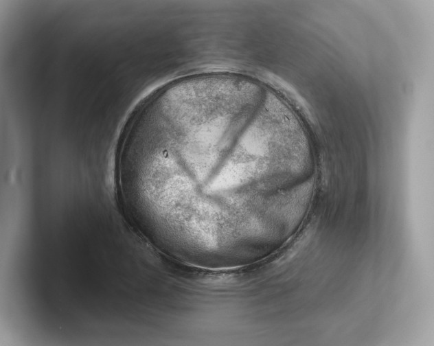 X0000101471174200807281013