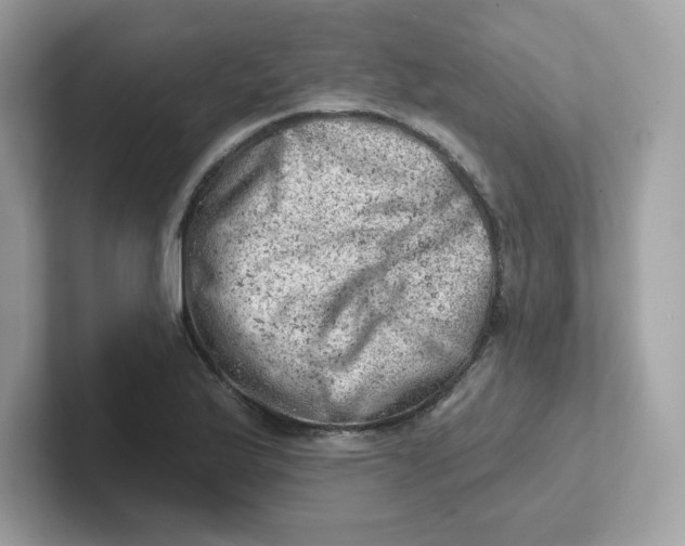 X0000101471175200807281013