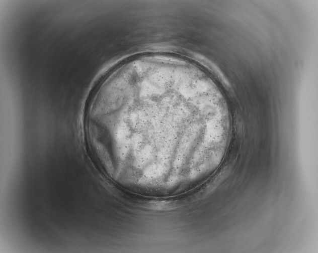 X0000101471176200807281013