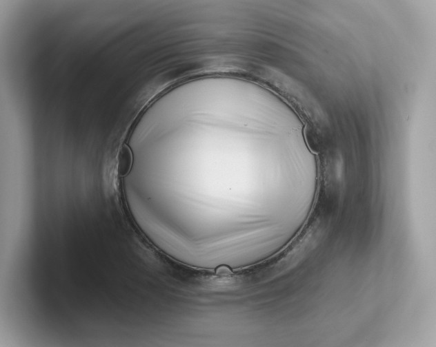 X0000101471177200807281013