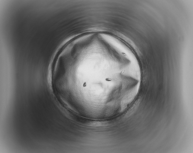 X0000101471179200807281013