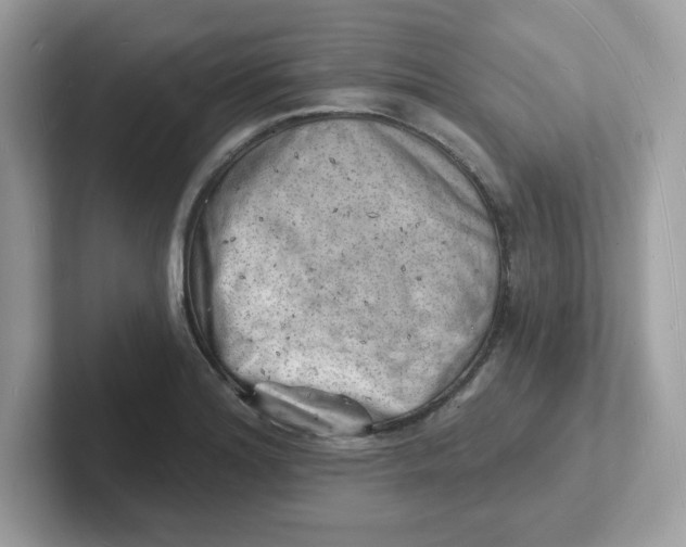 X0000101471180200807281013