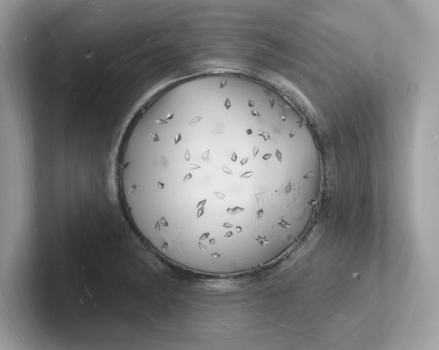 X0000101471182200807281013