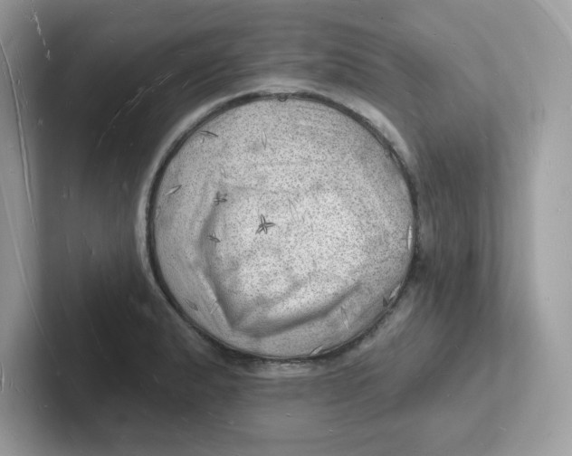 X0000101471183200807281013