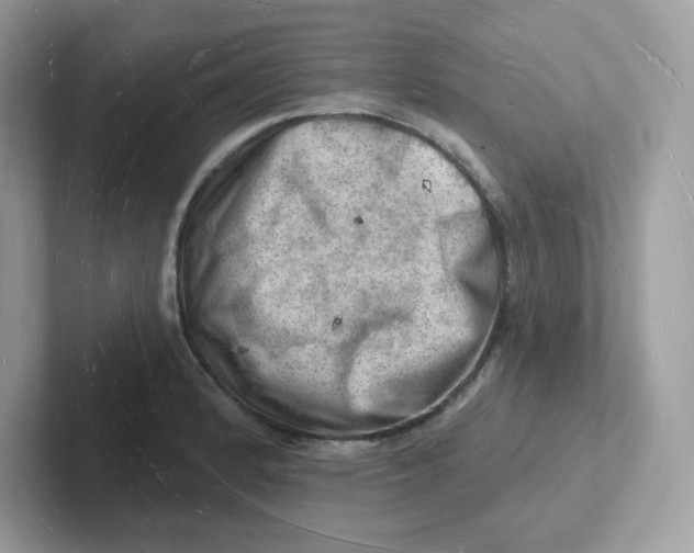 X0000101471184200807281013