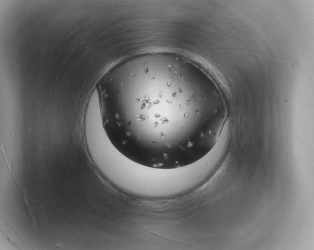 X0000101471185200807281013