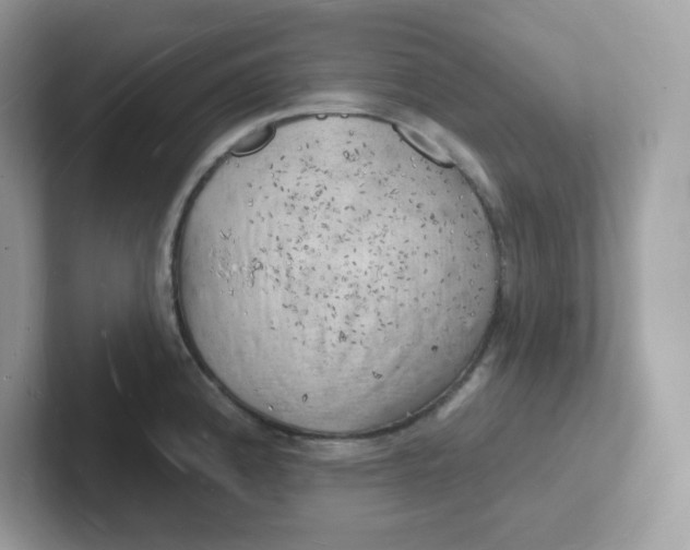 X0000101471192200807281013