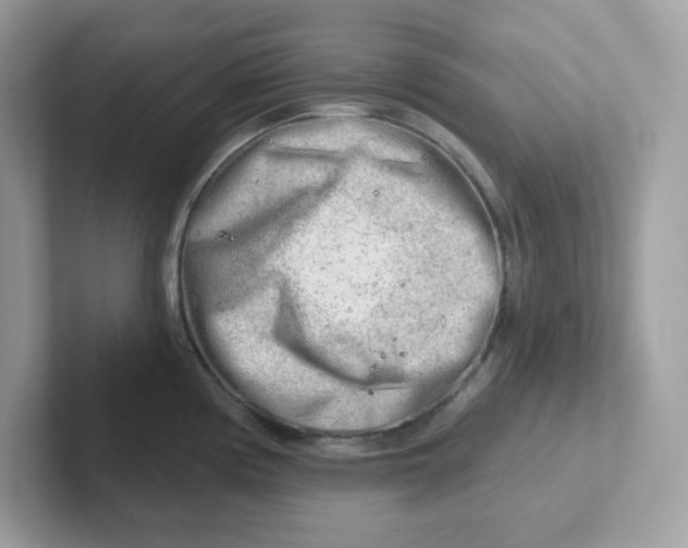 X0000101471194200807281013