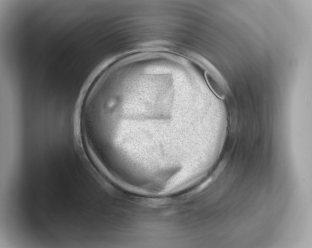 X0000101471196200807281013