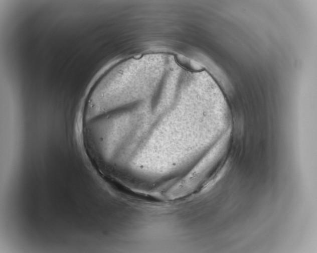 X0000101471198200807281013