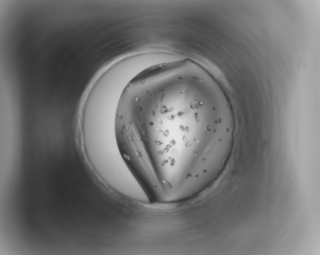 X0000101471200200807281013