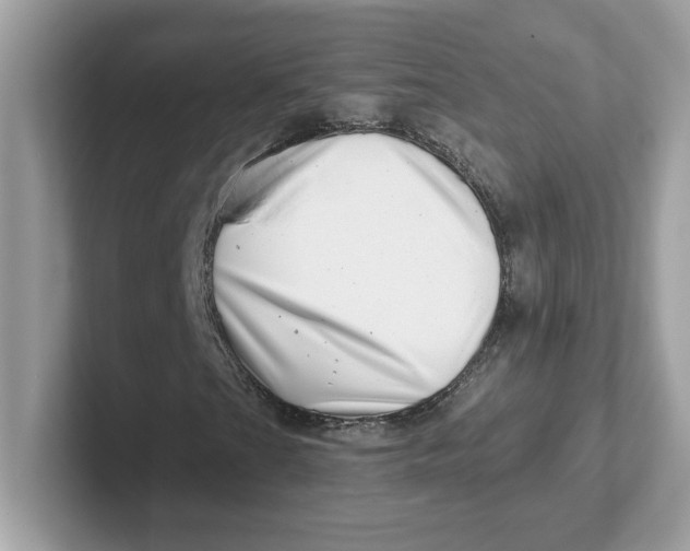 X0000101471201200807281012