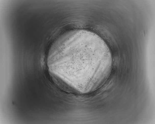 X0000101471202200807281012