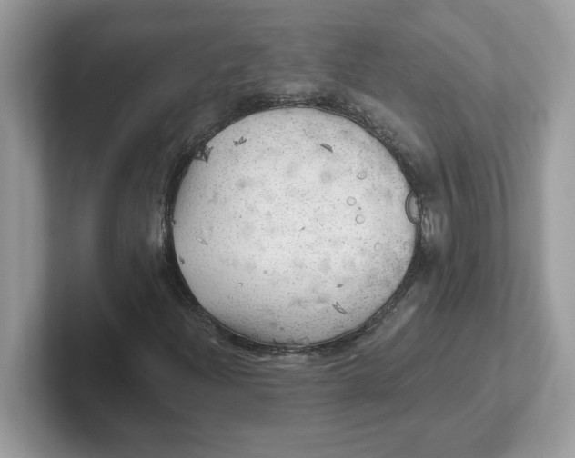 X0000101471204200807281012