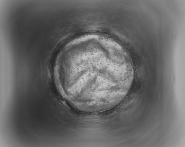 X0000101471206200807281012