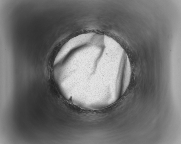 X0000101471207200807281012