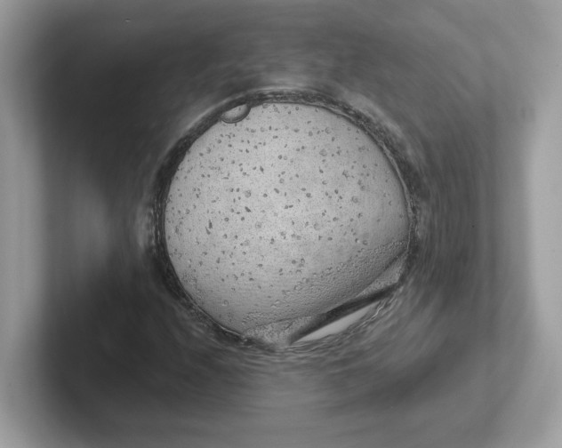 X0000101471208200807281012