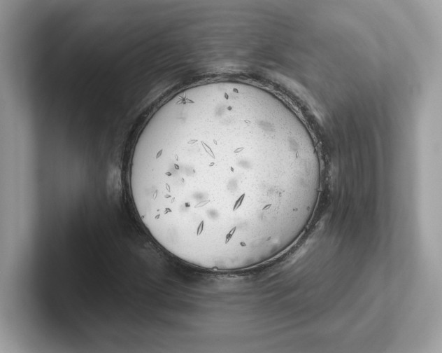 X0000101471209200807281012