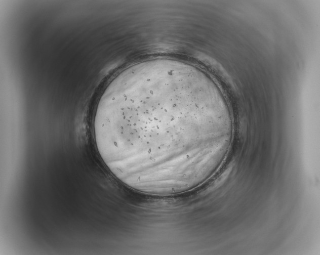 X0000101471210200807281012