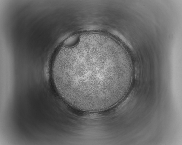 X0000101471213200807281013